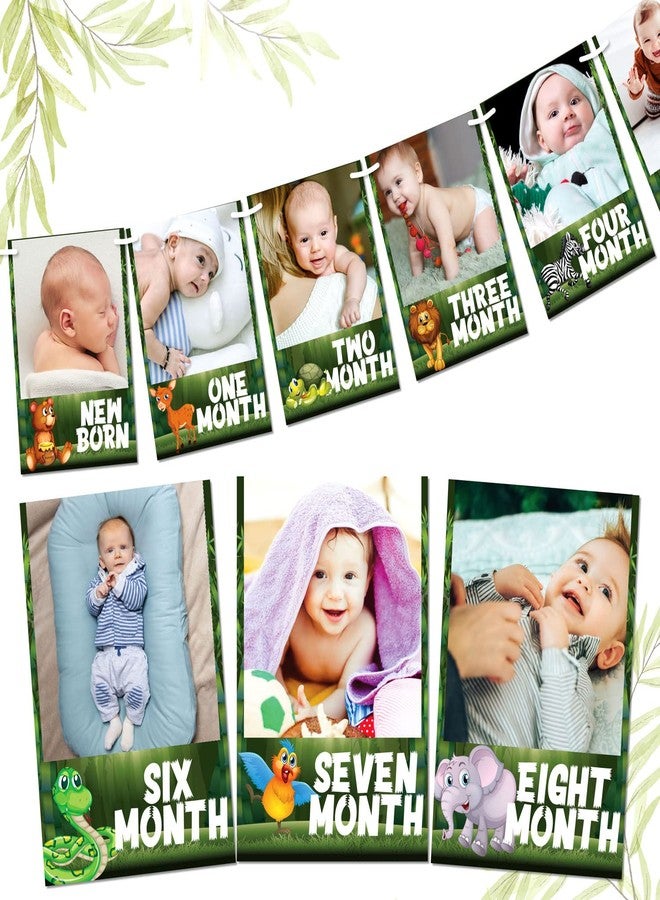 ووبوكس لافتة صور بتصميم الغابة من WIBBOX، مناسبة لأعياد الميلاد الأولى، لون أخضر، متوسطة الحجم، مستطيلة الشكل، تُعلق على الحائط، قابلة لإعادة الاستخدام - Image 1